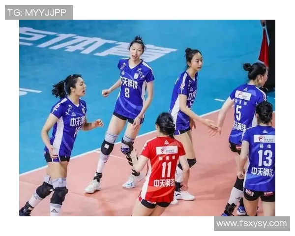排球力量排行榜：南京排球队位居第1名