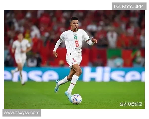 摩洛哥足球明星年薪揭秘及其在国际足坛的地位分析