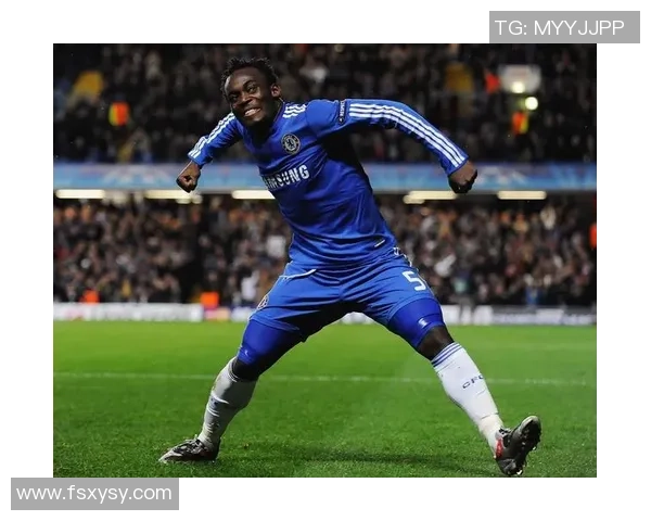 最强动物足球明星揭晓谁能在绿茵场上称霸天下